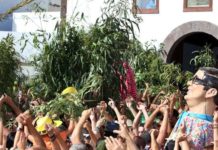 Agaete se prepara para La Rama más grande de la historia